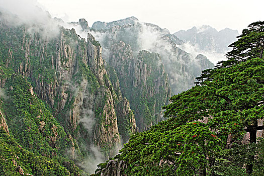 效果最快女性药是什么C1B8D97C5-18975